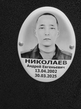 Андрей Николаев